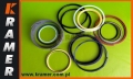 VOE14589843 Pakiet uszczelnień siłownika łyżki VOLVO EC460 Seal Assy