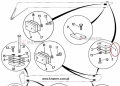 Ślizg JCB ładowarek teleskopowych L-154 mm 159/69900 Pad wear assembly