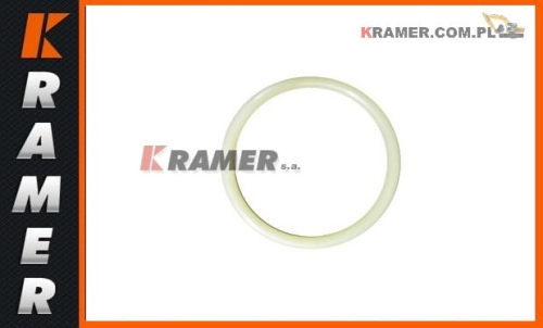 Oring uszczelniający napinacza gąsienicy stosowany w koparkach CAT 326D  322C  324E  326F 324D 326F 2487175 Seal O-Ring